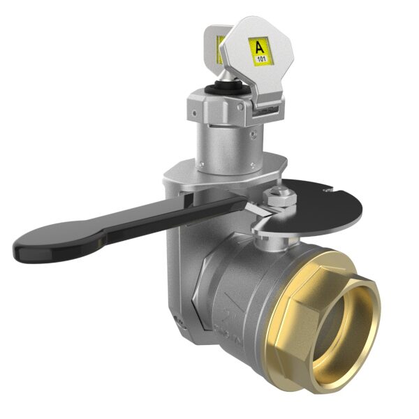 Mini Valve Locks in Stainless Steel (2″ BSPP FCL / FOP)